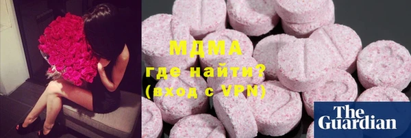 хмурый Арсеньев