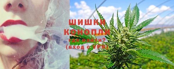 mdpv Новодвинск