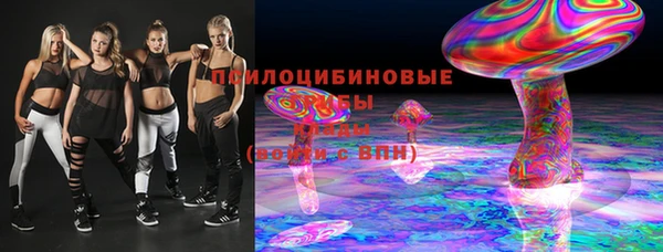 стаф Алзамай