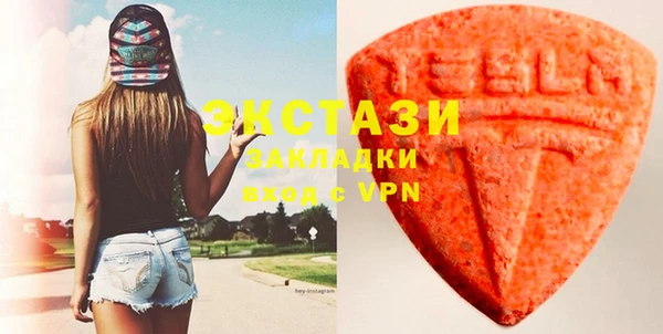 стаф Алзамай