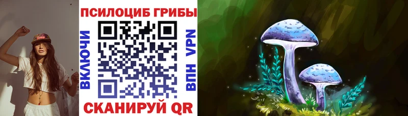 Галлюциногенные грибы ЛСД  купить наркотики сайты  Ахтубинск 